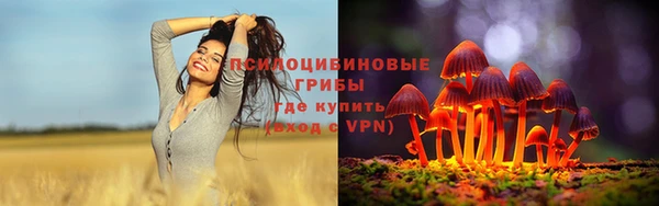 соль ск Абдулино