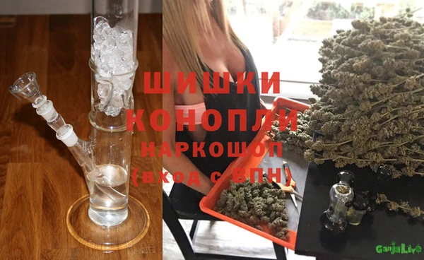 шишки Алзамай