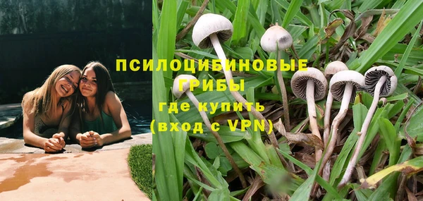 соль курить ск Сосновый Бор