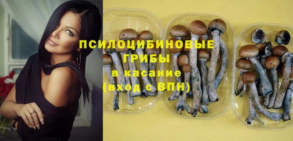 крисы Абаза