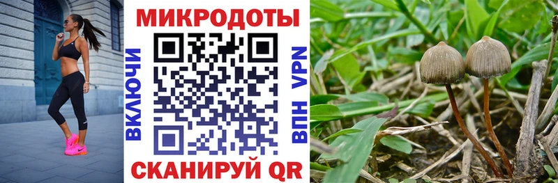 Галлюциногенные грибы прущие грибы  omg вход  Иланский  магазин  наркотиков 